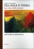 Tra Sole e Terra