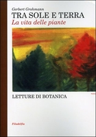 Tra Sole e Terra