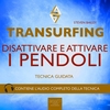 Transurfing - Disattivare e Attivare i Pendoli (Audiolibro Mp3)