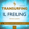 Transurfing - Il Freiling (AudioLibro Mp3)