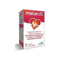 A. V. D. Reform - A. V. D. Reform Melacol 60 Capsule