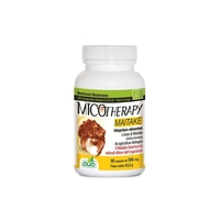A. V. D. Reform - A. V. D. Reform Micotherapy Maitake 90 Capsule