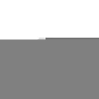 Bioskin - Tecniwork Bioskin Divaricatore M/l 1pz