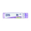 Boiron - Boiron Actaea Spic Boi 30ch 80gr 4g