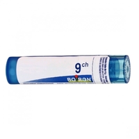 Boiron - Boiron Arsenicum Iod Boi 9ch 80gr 4g