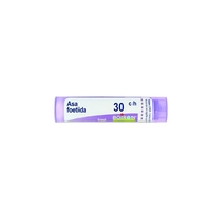 Boiron - Boiron Asa Foetida 30ch 80gr 4g
