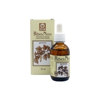 Ecol - Ecol Ribes Nero Gemme 50 Ml