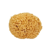 Safety - Safety Spugna Naturale Maxi