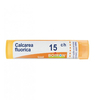 Bo.calcarea fluor*15ch 80gr 4g