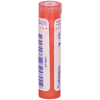 Bo.crataegus oxyacantha7ch