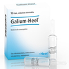 Galium 10f 1, 1ml heel