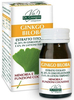 Ginkgo biloba estr tit 60past
