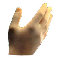 Guanti chir lattice rs 6, 5