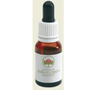 Gymea lily 15ml gtt
