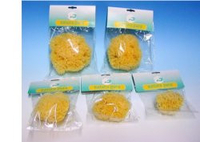 Natura pura spug nat 14 bust