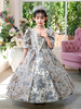 Costumi rococò vittoriani retrò in argento abito con stampa floreale abbigliamento vintage