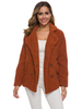 Giacca in finta peluche Cappotto manica lunga casual colletto rovesciato bavero caramello caldo autunno inverno corto Teddy capispalla per donna