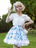 Gonne Lolita Harajuku Fashion Lolita SK con stampa floreale azzurro cielo con volant