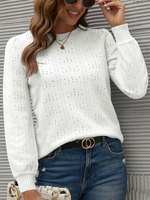 Maglione pullover da donna Maglioni acrilici a maniche lunghe con collo gioiello celeste