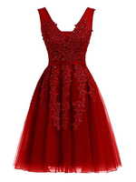 Mini Prom Dresses Tulle del vestito da cocktail Splendida breve una linea di collo a V senza maniche in pizzo in rilievo