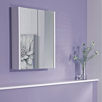 Armadietto da Bagno con Specchio,  Ripiani Interni e 2 Ante 650mm x 617mm - Consul