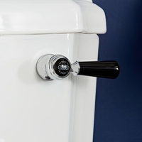 Leva WC in Ceramica Nera e Cromo - Elizabeth