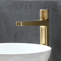 Miscelatore Moderno Monoforo Alto per Lavabo con Pulsante a Pressione - Scelta di Finiture