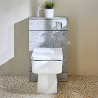 Mobile WC da 500 con Sanitario Exton - Grigio Cemento - Pulsante di Scarico Cromato - Cluo