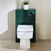 Mobile WC da 500 con Sanitario Exton - Verde Scuro - Pulsante di Scarico Nero - Cluo