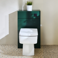 Mobile WC da 500 con Sanitario Exton - Verde Scuro - Pulsante di Scarico Nero - Cluo