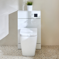 Mobile WC da 500 con Sanitario Sandford - Bianco - Pulsante di Scarico Nero - Cluo