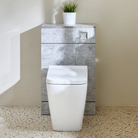Mobile WC da 500 con Sanitario Sandford - Grigio Cemento - Pulsante di Scarico Cromato - Cluo