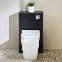 Mobile WC da 500 con Sanitario Sandford - Grigio Nero - Pulsante di Scarico Cromato - Cluo