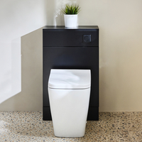 Mobile WC da 500 con Sanitario Sandford - Grigio Nero - Pulsante di Scarico Nero - Cluo