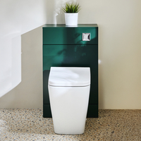 Mobile WC da 500 con Sanitario Sandford - Verde Scuro - Pulsante di Scarico Cromato - Cluo