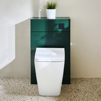 Mobile WC da 500 con Sanitario Sandford - Verde Scuro - Pulsante di Scarico Nero - Cluo