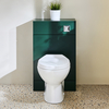 Mobile WC da 500 con Sanitario Select - Verde Scuro - Pulsante di Scarico Cromato - Cluo
