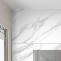 Piastrelle Murali in Materiale Composito per Pavimentazione da Bagno - 400mm x 800mm - Bianco (Carrera)