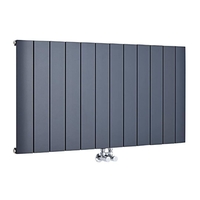 Radiatore di Design Orizzontale Antracite 600mm Aurora - Disponibile in Diverse Misure