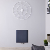 Radiatore di Design Orizzontale Antracite in Alluminio - 600 x 565mm - 692W - Aurora