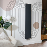Radiatore di Design Verticale Antracite a Piastra (Pannello Singolo) - 1800mm x 300mm - Attacco Centrale