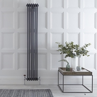 Radiatore di Design Verticale Stile Ghisa Antracite - 1800 x 293 x 100mm - 1169W - Regent