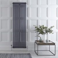 Radiatore di Design Verticale Stile Ghisa Antracite - 1800 x 563 x 100mm - 2338W - Regent