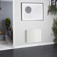 Radiatore Elettrico a Secco - 1500W 533mm x 873mm Bianco - Virtus