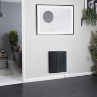 Radiatore Elettrico a Secco - Nero- 900W - con Presa Elettrica - 533 mm x 595 mm - Virtus