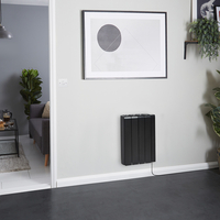 Radiatore Elettrico ad Inerzia con Nucleo in Ceramica 1000 W con Cavo 570 mm x 444 mm Grafite - Kera - ECOSO by Hudson Reed