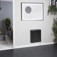 Radiatore Elettrico ad Inerzia con Nucleo in Ceramica 1500 W con Cavo 570 mm x 534 mm Grafite - Kera - ECOSO by Hudson Reed