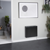 Radiatore Elettrico ad Inerzia con Nucleo in Ceramica 2000 W con Cavo 570 mm x 714 mm Grafite - Kera - ECOSO by Hudson Reed