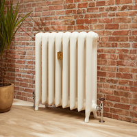 Radiatore in Ghisa Alto 560mm a Colonne Ovali - Bianco Antico - 560mm x 272mm