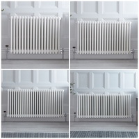 Radiatore Orizzontale Tradizionale a 3 Colonne – Bianco – Varie Misure – Stelrad Regal